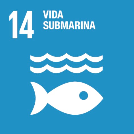 Vida submarina