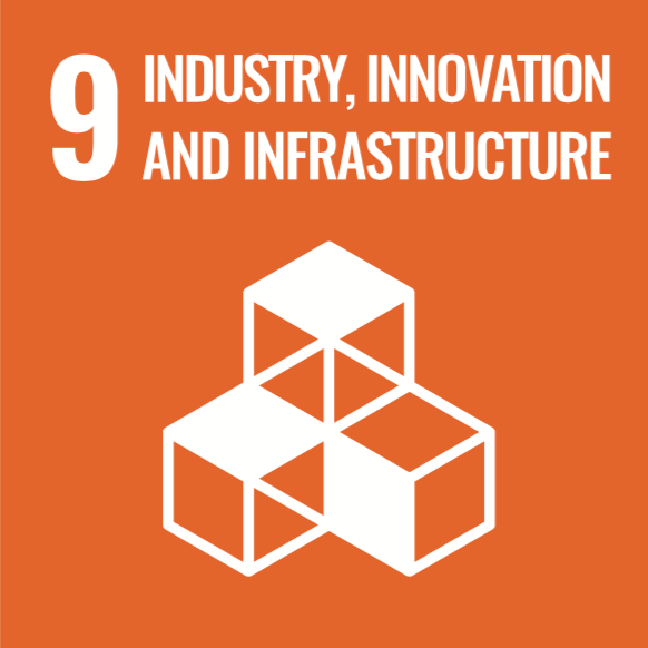 Industry, innovation and infraestructure