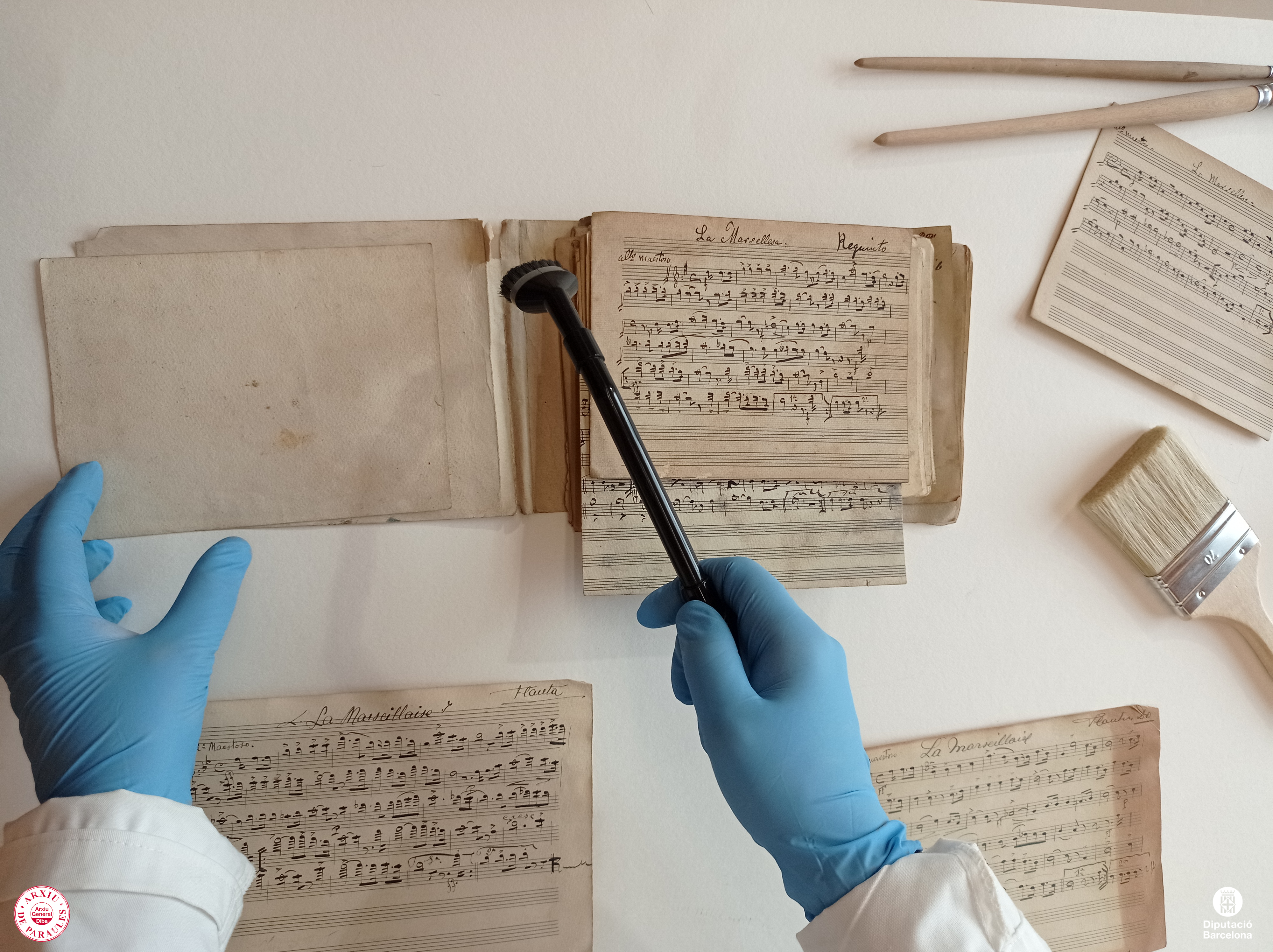 Particel·les manuscrites de