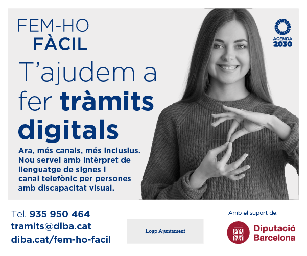 300x250 serveis mes inclusius