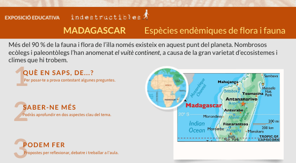 Madagascar. Espècies autòctones de flora i fauna