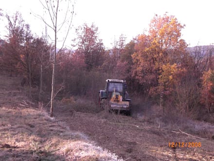 Imatge del projecte