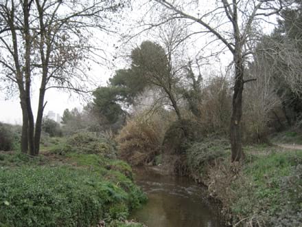 Fitxa del projecte Imatge del projecte