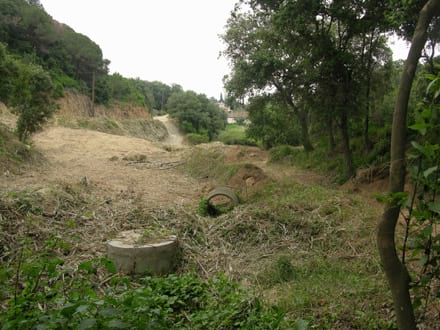 Imatge del projecte