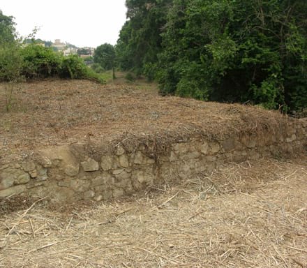 Imatge del projecte