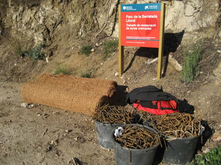 Imatge del projecte