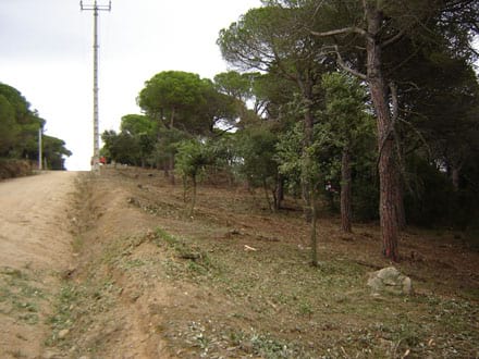 Imatge del projecte