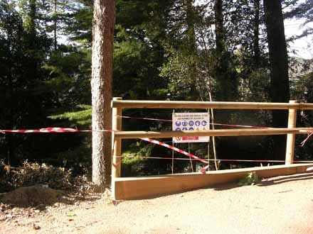 Imatge del projecte