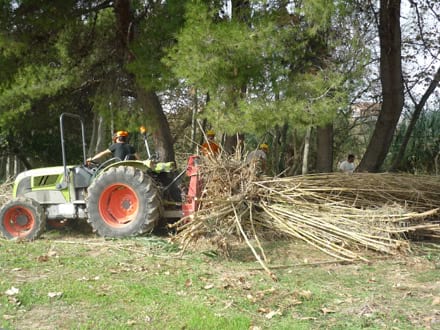 Imatge del projecte