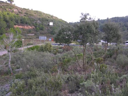 Fitxa del projecte Imatge del projecte