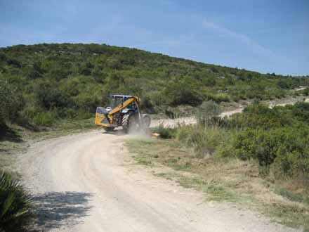 Imatge del projecte