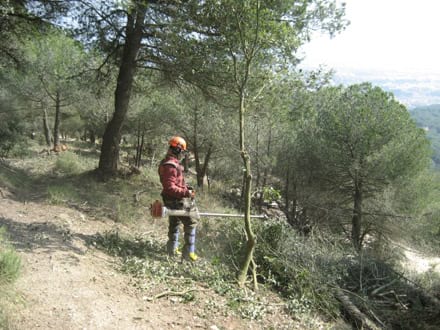 Imatge del projecte