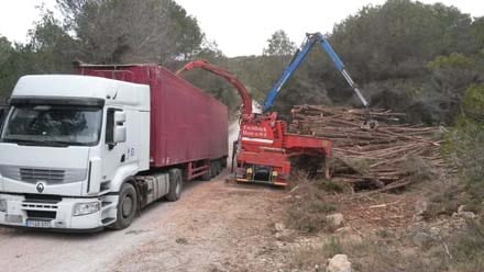 Imatge del projecte