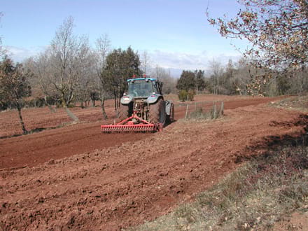 Fitxa del projecte Imatge del projecte