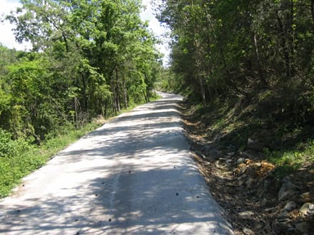 Fitxa del projecte Imatge del projecte