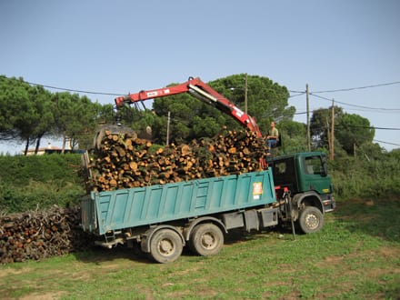Fitxa del projecte Imatge del projecte