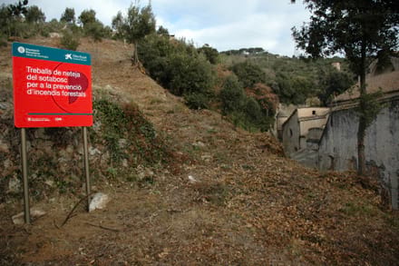 Imatge del projecte