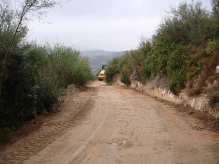 Imatge del projecte