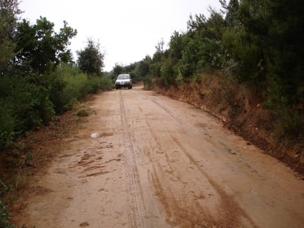 Fitxa del projecte Imatge del projecte