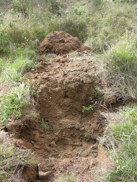 Galeria imatges Imatge del projecte