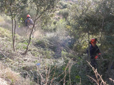 Galeria imatges Imatge del projecte
