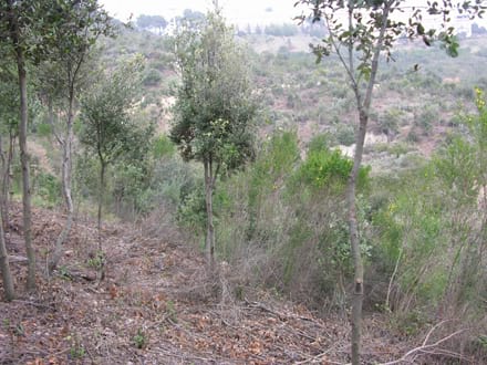 Fitxa del projecte Imatge del projecte