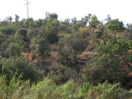 Galeria imatges Imatge del projecte