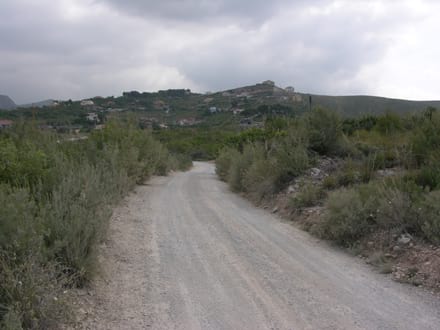 Imatge del projecte
