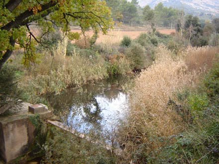 Imatge del projecte