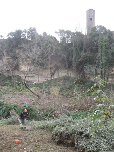 Imatge del projecte