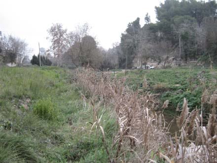 Imatge del projecte