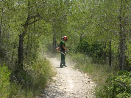 Fitxa del projecte Imatge del projecte