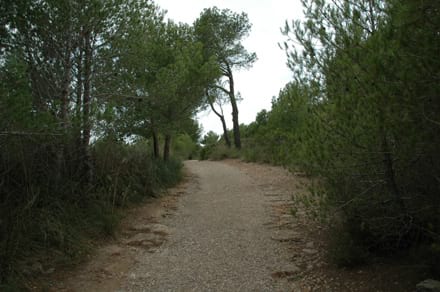 Imatge del projecte