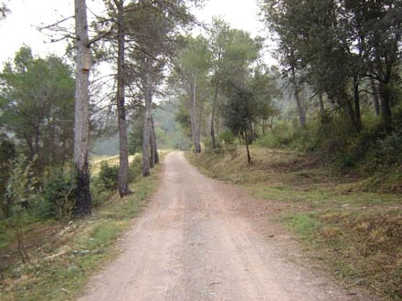 Imatge del projecte