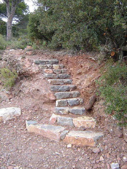 Imatge del projecte