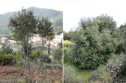 Fitxa del projecte Imatge del projecte