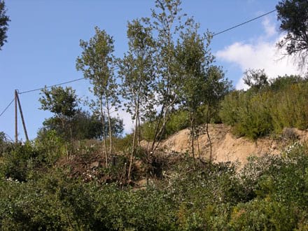 Fitxa del projecte Imatge del projecte