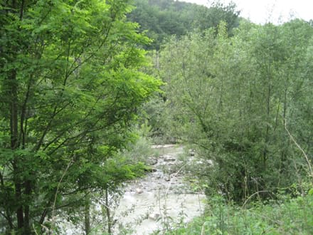 Fitxa del projecte Imatge del projecte