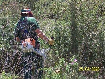 Fitxa del projecte Imatge del projecte