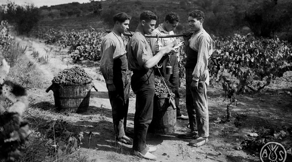 Verema a Castellar del Vallès, 1917