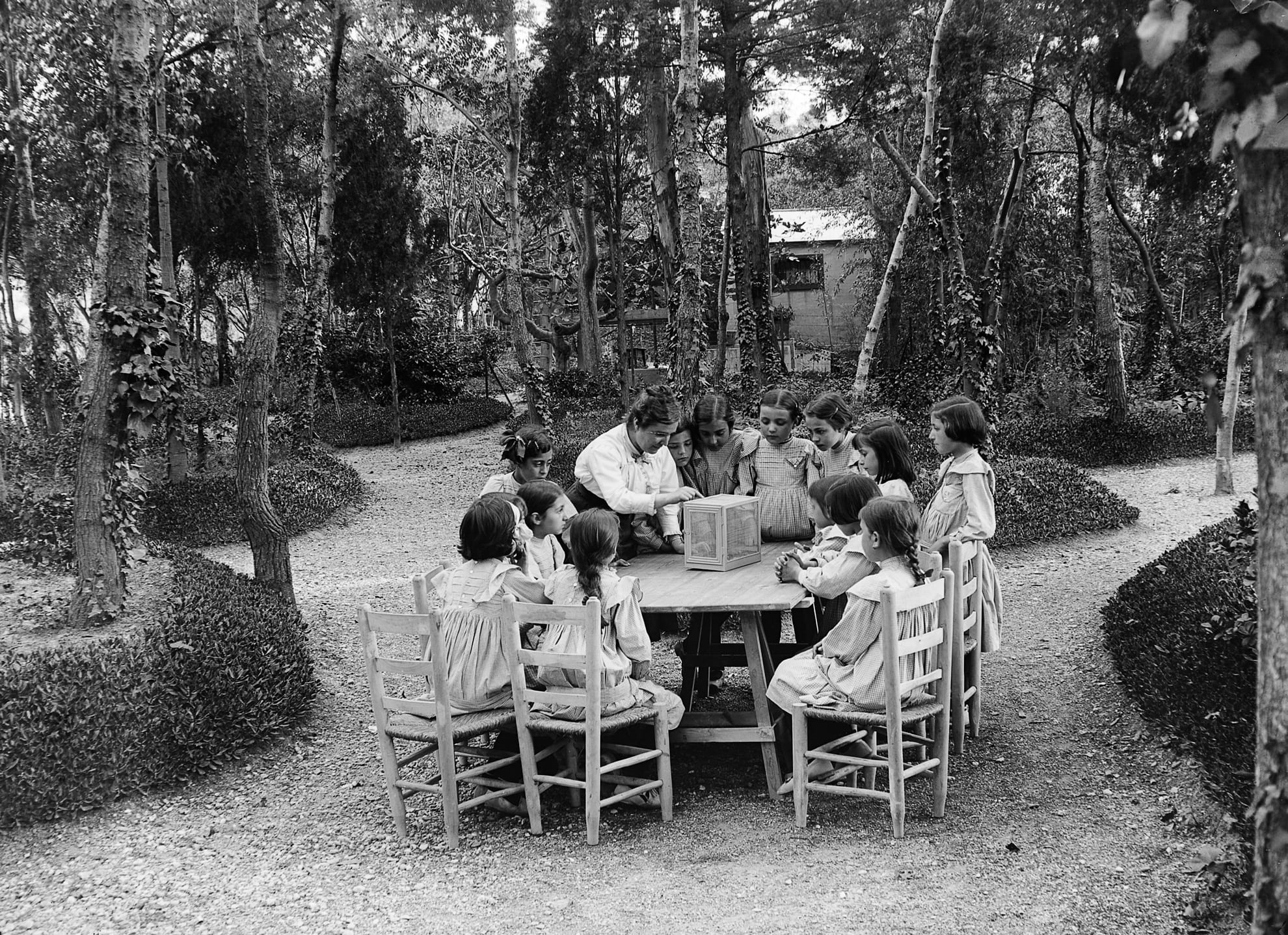 Escola del Bosc. Fotografia de Frederic Ballell. Arxiu Fotogràfic de Barcelona.