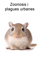 Zoonosis i plagues urbanes Zoonosis i plagues urbanes