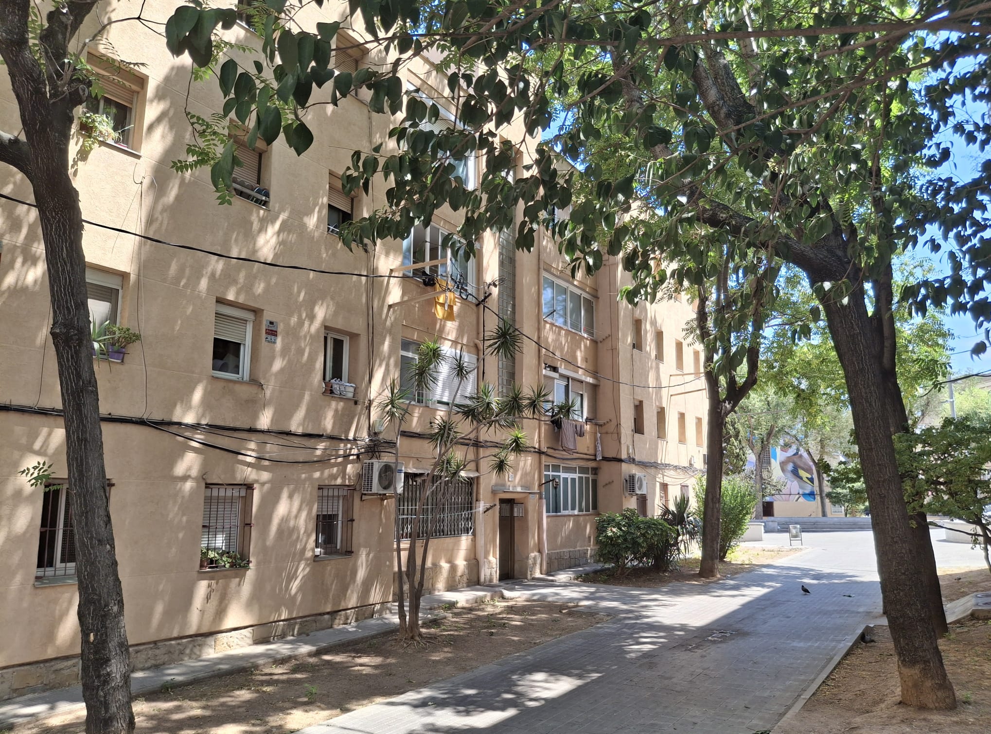 Els ajuntaments poden sol·licitar els ajuts a partir del 27 de febrer. Foto: Diputació de Barcelona Els ajuntaments poden sol·licitar els ajuts a partir del 27 de febrer. Foto: Diputació de Barcelona