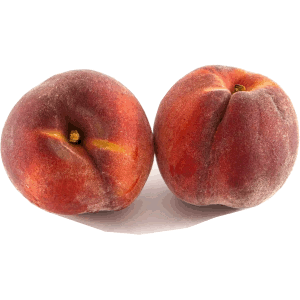 Préssec d'Ordal
