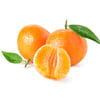 Mandarina