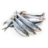 Pescado azul
