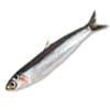 Boquerón