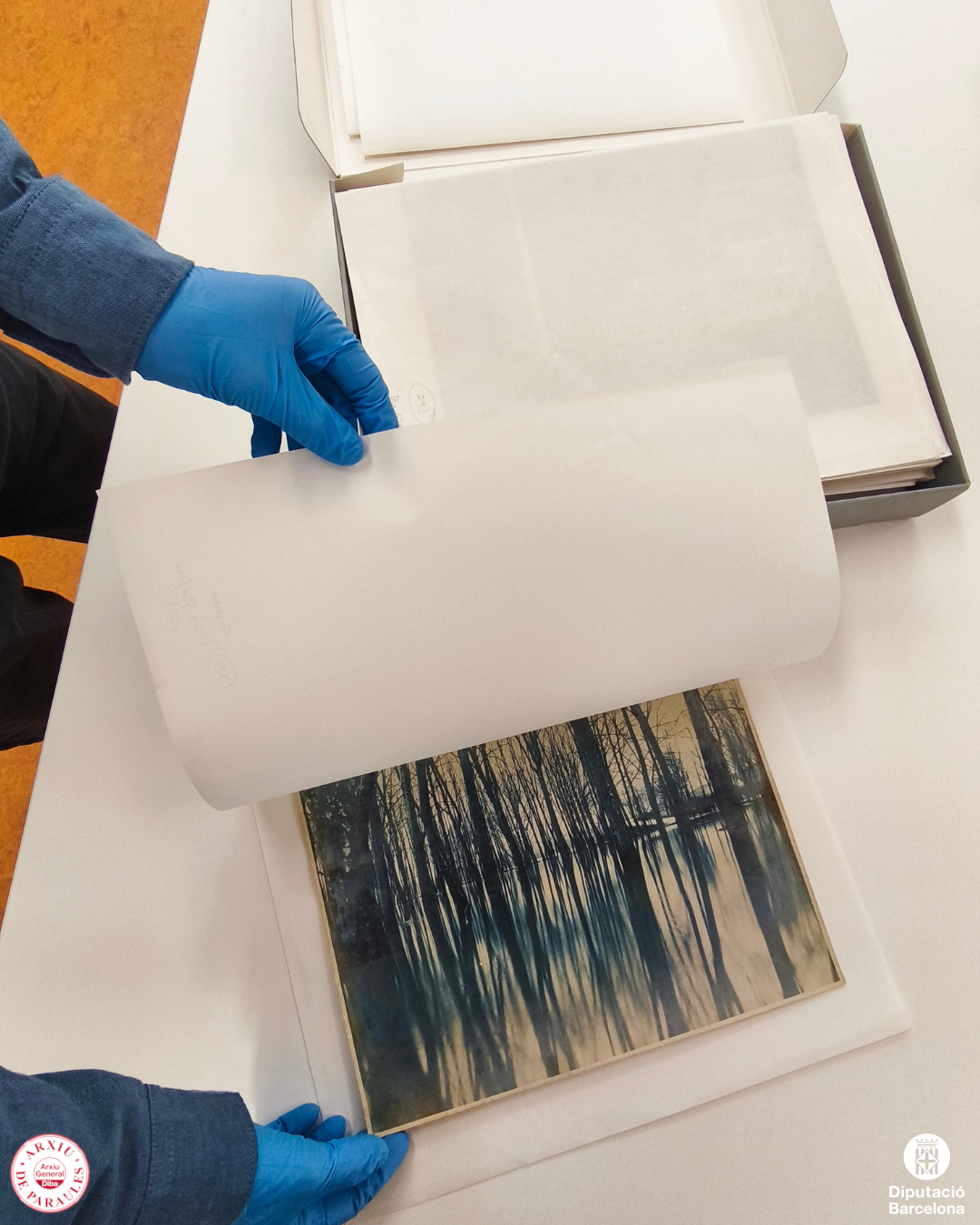 Instal·lació d'una fotografia en una capsa d'arxiu