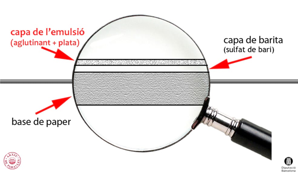 Procés d'emulsió fotogràfica amb la capa d'emulsió, la capa de barita i la base de paper