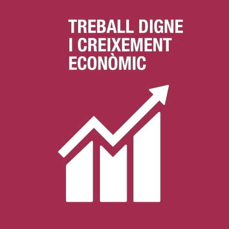 Treball digne i creixement econòmic